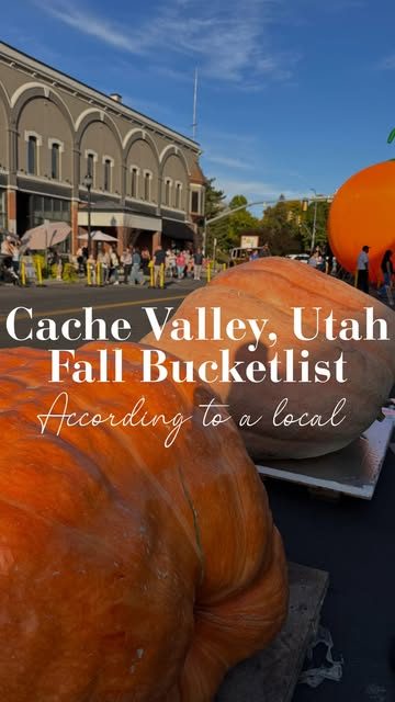 Giant pumpkins on Center Street, Cache Valley fall bucketlist